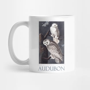 Snowy Owl by John James Audubon Mug